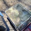府中郷土の森バーベキュー場でガンガン焼き