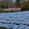 花夢の里：花めぐりシリーズ ⑲（広島県世羅郡世羅町）