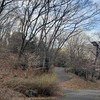 パワースポット巡り（８０２）都立桜ヶ丘公園（東京都多摩市）