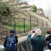 柳沢・東伏見　戦争遺跡を訪ね歩く