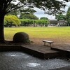 久々に雨が降った