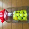 梅酒や梅干しのガラスビンの注意点と梅干しの保存