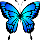 b-ulysses’s blog