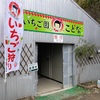 岸和田 イチゴ狩り「いちご園 kotona ことな」で食べるもぎたてイチゴは、まさに究極のスイーツ！付随サービスも充実で、大満足間違いなしだ！