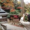 故郷は、紅葉なりけり