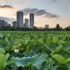 7月23日日記　おしゃれは我慢、飛行機