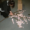 桜の飾りつけ