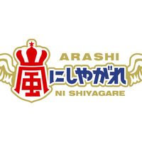 Youtube日テレ公式チャンネル 嵐にしやがれ 11月28日土曜よる9時放送 ヒロシとサトシのソロキャンプin無人島 動画予告 青嵐 Blue Storm 大野智くん Fan Blog