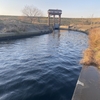 2月度 荒川温排水 釣果