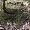 Somabula nature reserve へ行ってきました