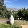 ビビリちゃん