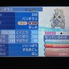 ポケモンUSUM ウチの相棒チラ見せ