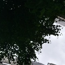 はじめましてはじめました