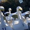 久しぶりの井の頭公園、宇賀神像に感銘を受ける