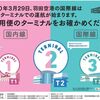 羽田空港・成田空港の現在【新型コロナによる縮小】今は辛抱