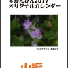 2017年カレンダー出来ました