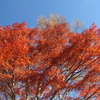 蓼科の紅葉のメッカ“横谷観音”へ行ってきました