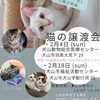 譲渡会のお知らせ🐾