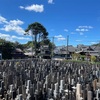 午前、夫と病院