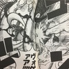 ゾロvsピーカ 空中での対決は何巻 何話 何話 何巻 Com