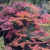 美濃33観音巡り　法華寺