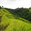 Tips to Choose the Best Eco Cycling Ubud Tour