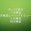 タンパク質の一次構造・二次構造(α-ヘリックス・β-シート)・三次構造・四次構造