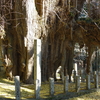 奈義町　菩提寺