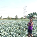India exploring. 