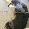 初めての入院。