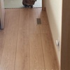 早起き４４日目。　うさぎの近況