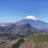 箱根ハイク 明星ヶ岳ー明神ヶ岳ー金時山