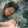 香港映画レビュー&解説「母性のモンタージュ 虎毒不 Montages of a Modern Motherhood」