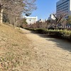 「青い空」のもとで遊んでいます
