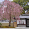 京都市東山区｜高台寺