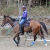【一口馬主／ソワドリヨン】来週は東京開催、ってことは…。