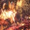 Mhw Ib 色々な計算式 ダメージ計算など ゲームのメモ帳