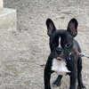 ドゥトラの初外出