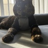いもうとちゃんさつえい。