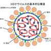 新型コロナ　ウイルスをおさらいする