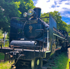 🚂 タイムスリップ気分満載！小金井公園のSL展示場でノスタルジックな旅を楽しもう
