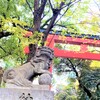 大都会に鎮座する、花園神社は見どころ満載！