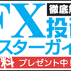 外国為替　FX　投資ガイド　無料！