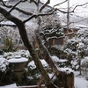 Wed.   ２３日の雪