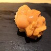 ミッドタウン六本木のSushi Tokyo TEN Roppongiでランチしました