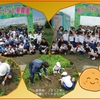 【あいづ子ども夢農園】じゃがいも収穫活動①(日新小学校)　※会社ブログ