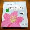 手づくりしかけ絵本『ぶんぶんしまこさんの きをつけなくちゃ』販売に向けて①〈最初の１冊〉