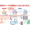 シワ対策　まとめ