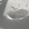 ようやく峠を越えたようです