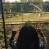 天王寺動物園に行ってきた！